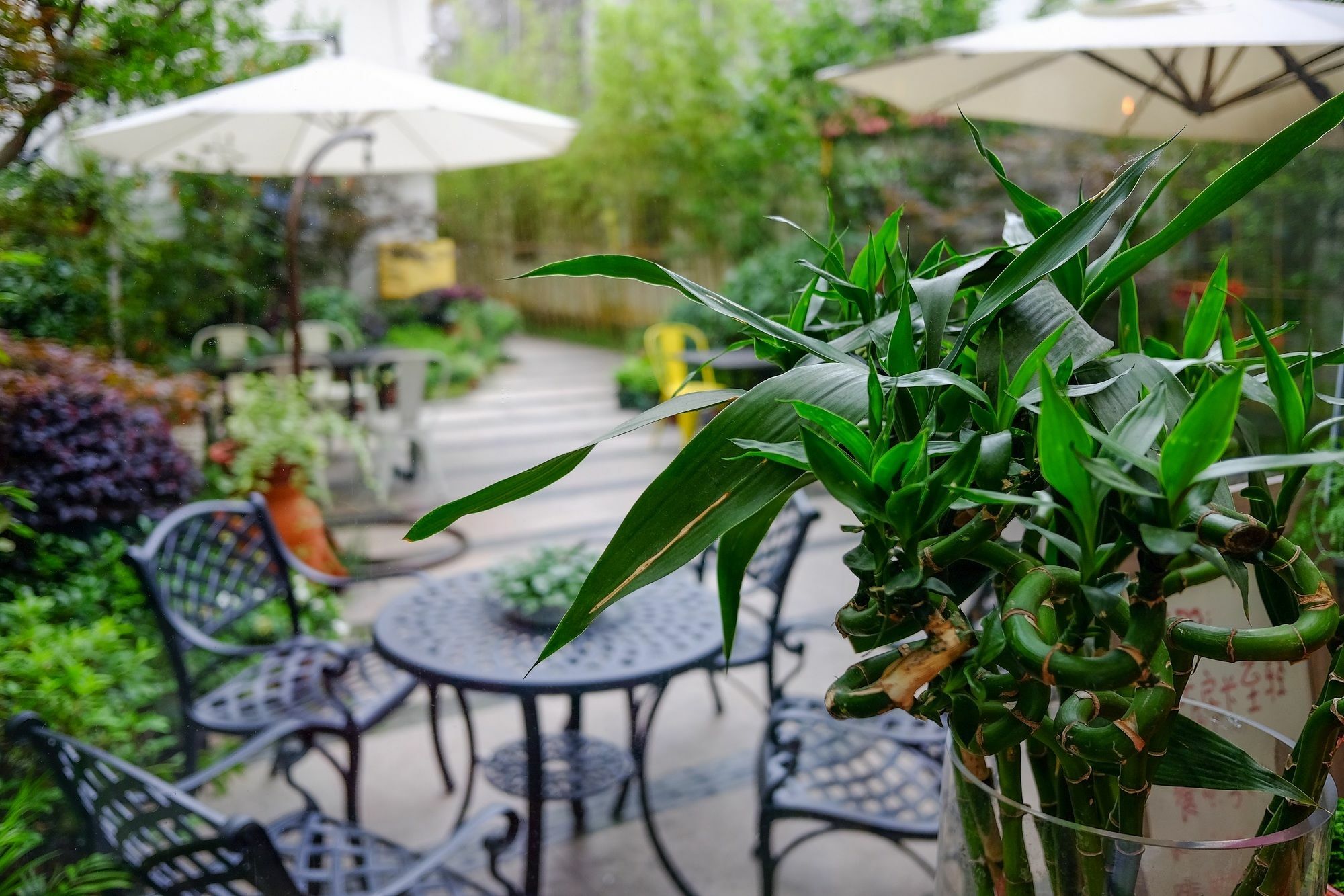 Suzhou Homa Garden Hotel 외부 사진
